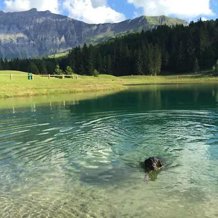 Lägenhet In Megeve With Mont-blanc Views *
