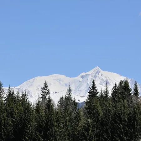 In Megeve With Mont-blanc Views Lägenhet Praz-sur-Arly
