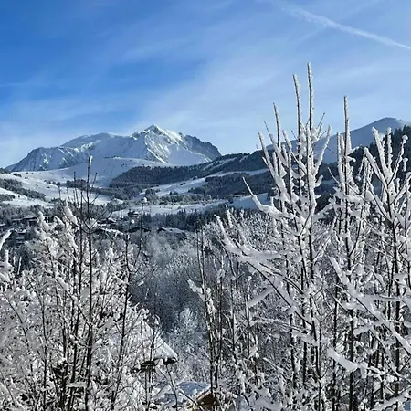 In Megeve With Mont-blanc Views *