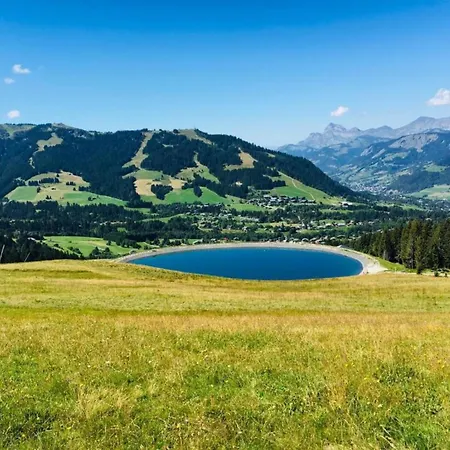 In Megeve With Mont-blanc Views