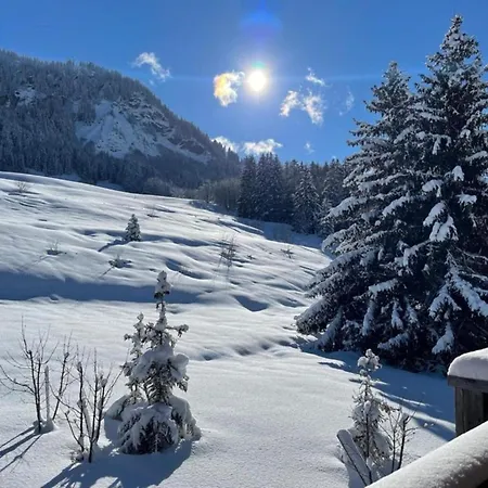 Stylish With Dishwasher * Praz-sur-Arly